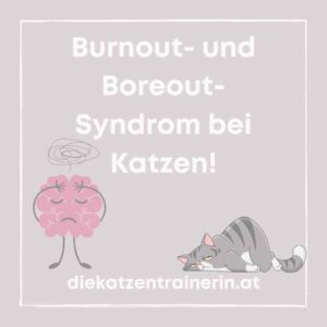 Burnout und Boreout bei Katzen